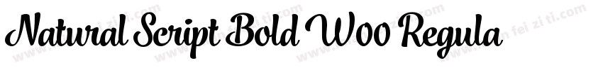 Natural Script Bold W00 Regular字体转换